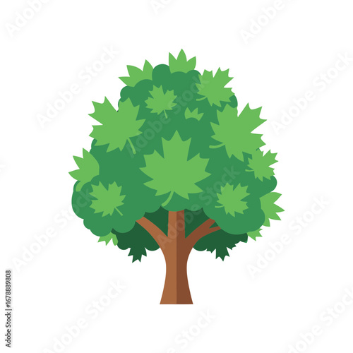 Green leafy tree with brown trunk on white background.