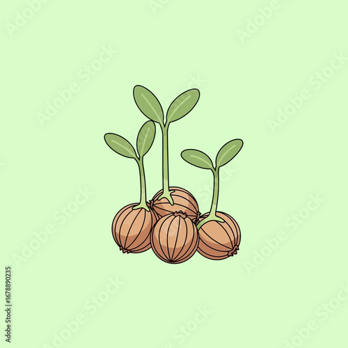 Small plants sprouting from seeds on a light green background.