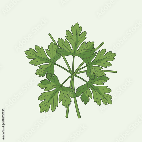 Green leaves arranged in a circular pattern on a light background.