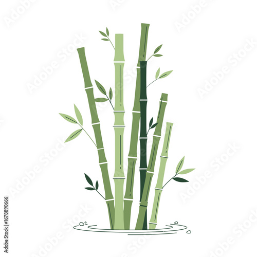 Green bamboo stalks with leaves on a white background.