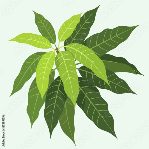 A cluster of vibrant green leaves against a pale background.