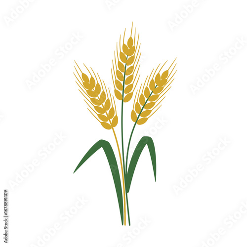 Three stalks of golden wheat with green leaves on a white background.