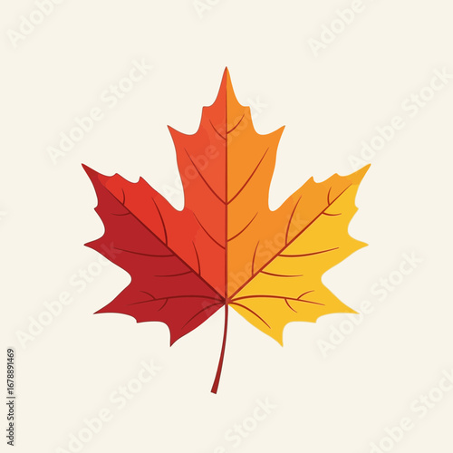 A single maple leaf displays a gradient of autumn colors.