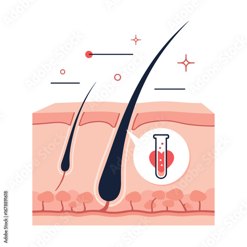 Understanding hair growth cycles and factors influencing scalp health and follicle vitality