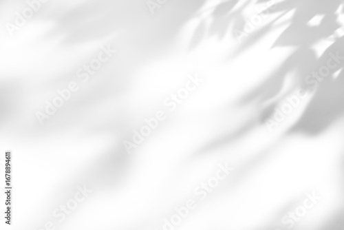 shadow overlay effect of natural tree leaves shadow over on white wall background,realistic summer sunlight abstract shadow overlay