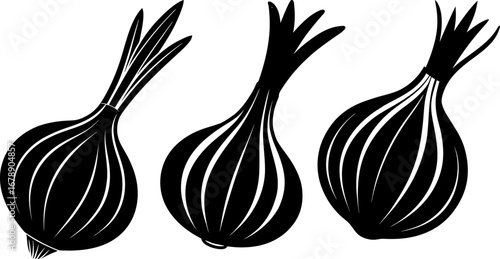 Garlic set, Set of garlic, garlic collection, Vector of garlic, garlic silhouette, garlic isolated on white background