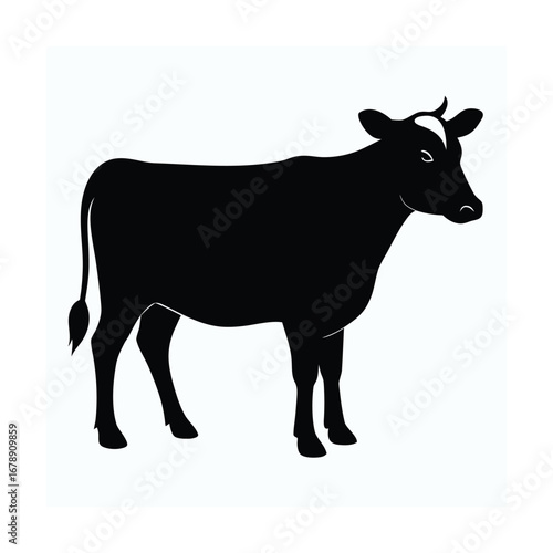 silhouette of a cow