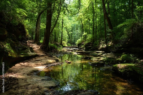 Hiking Alabama: Dismal's Canyon - Exploring a Picturesque Forested Canyon with a Serene Stream