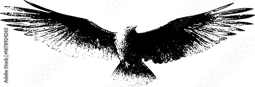Black and white stencil illustration of eagle in flight for design and decor