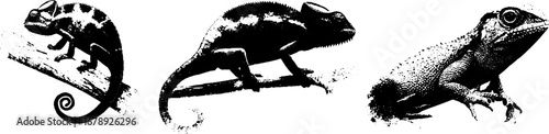 Black and white chameleon stencil set for urban design and decor