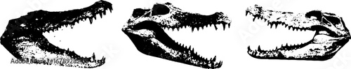 Black and white stencil illustration set of crocodile skulls for urban art and design