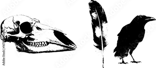 Black and white crow stencil set with skull and feather for artistic design