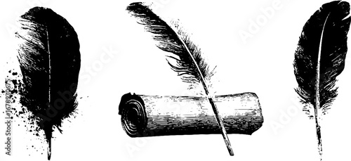 Black and white feather stencil illustration set for artistic designs