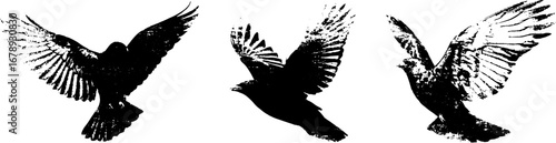 Grunge bird silhouette stencil set for urban art and design projects