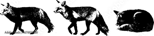 Black and white fox stencil set for creative designs