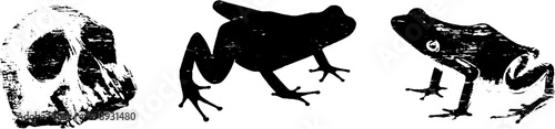 Black and white frog stencil collection - grungy silhouettes for urban design
