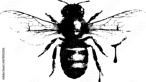 Black and white stencil illustration of a giant bee design for art and décor
