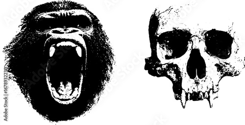Black and white gorilla and skull stencil illustration collection for design
