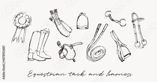 Equestrian tack and harness, hand drawn horseback riding items