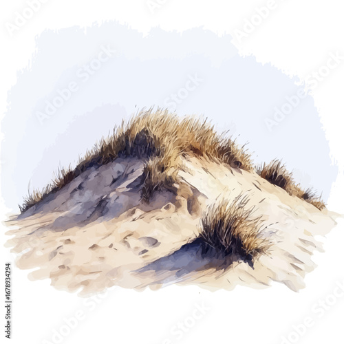 Sandy Shore, watercolor painting vector, isolated on a white background.