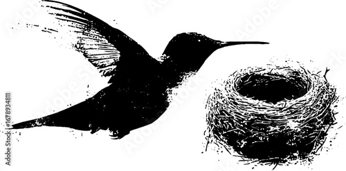 Black and white hummingbird stencil with nest - design for urban art and decoration
