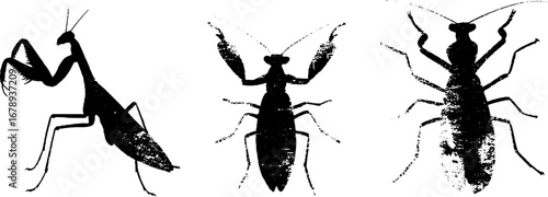 Black and white stencil of mantis set for artistic design and decor