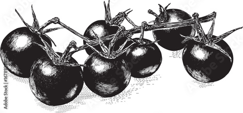 Cherry tomato illustration on white background. This vector illustration can be used in any size you like for advertising, logos, and other work.