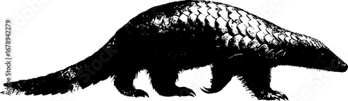 Black and white pangolin stencil art set for creative design projects