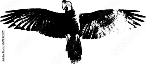 Black and white parrot stencil art with outstretched wings - perfect for urban and vintage designs