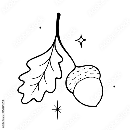 Delicate acorn and oak leaf illustration with celestial sparkle, perfect for autumn designs