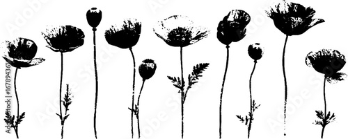 Black and white poppy stencil collection for design projects
