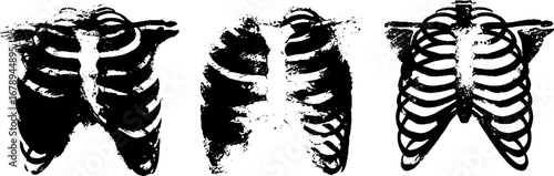 Black and white ribcage stencil set for artistic and design projects