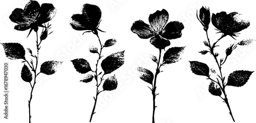 Black and white sakura stencil set for design and decoration
