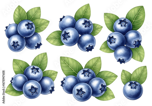Fresh blueberries with green leaves isolated on transparent background.

