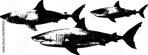 Black and white shark stencil collection for urban art and design projects