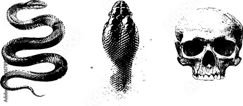 Black and white snake and skull stencil set for artistic design