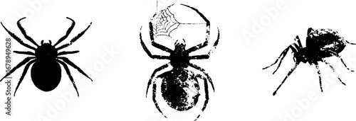 Black and white spider stencil collection for halloween design