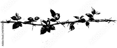 Black and white thorn stencil set for urban art and design