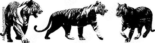 Black and white tiger stencil set for artistic design projects