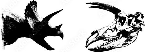 Dinosaur stencil art set featuring triceratops silhouette and skull design for creative projects