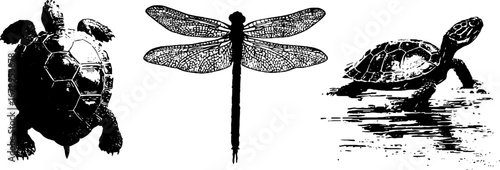 Black and white stencil collection: turtles and dragonfly for decorative design