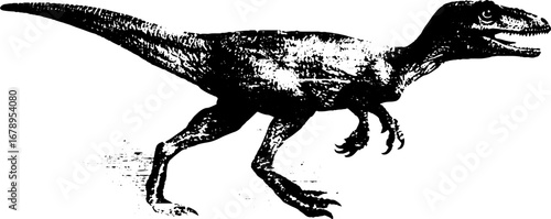 Black and white stencil illustration of velociraptor set for design and decoration