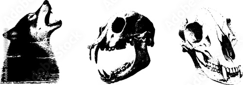 Black and white werewolf and skull stencil set for urban designs
