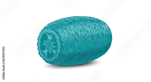 Blue Loofah Sponge for Exfoliation on White Background.