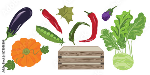 Vegetable collection, Farm crate mix, Market vegetable set
