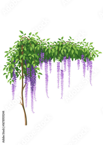 Wisteria Tree with Cascading Purple Flowers