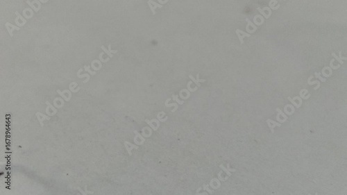 Cockroaches upside down on the floor at home, usually found in cupboards, furniture, toilets, etc.