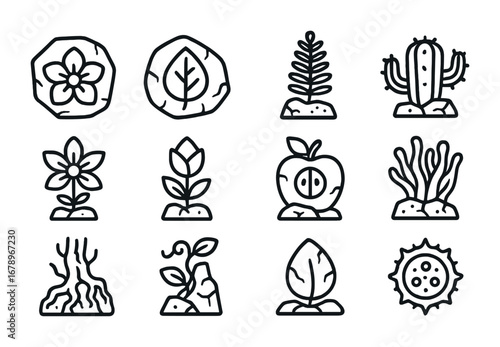 Ancient Flora Icons. Outline icon set of ancient flora: fossilized flower, petrified leaf, ancient fern, stone