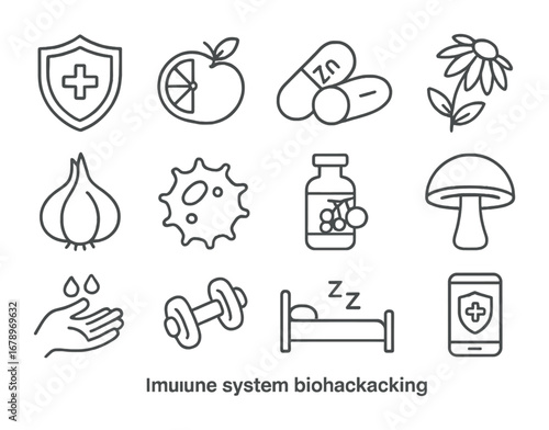 Immune System Icons. Outline icon set of immune system biohacking: shield with plus, vitamin C orange, zinc