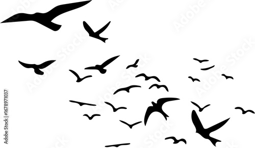 Dynamic flock of birds soars together in freedom, representing unity and migration in nature